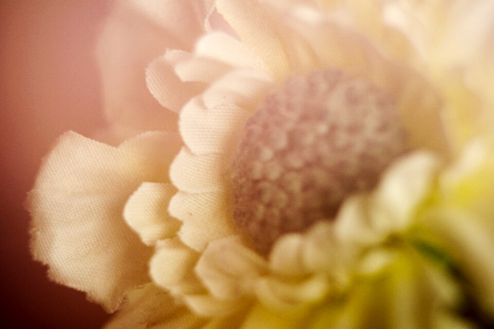 Summer garden season