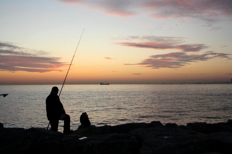 Evening sea turkey