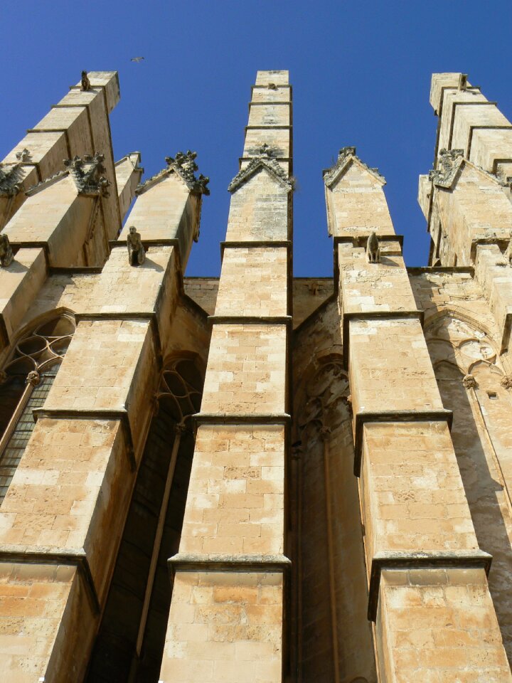 Buttresses cathedral palma de mallorca