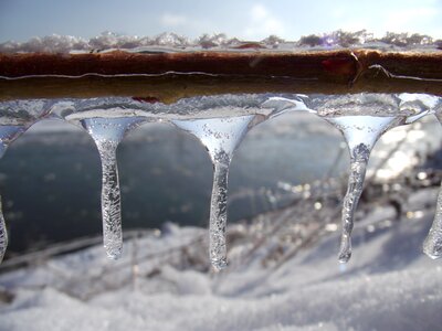 Frost snow white photo