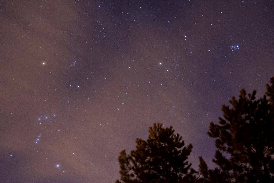Dark galaxy space