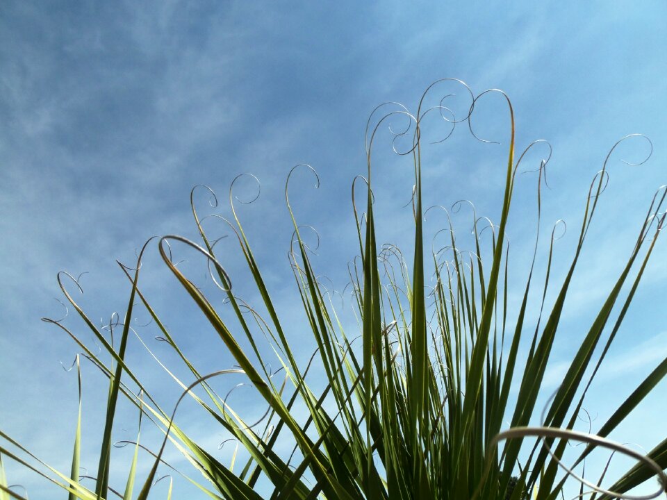 Green sun clouds photo