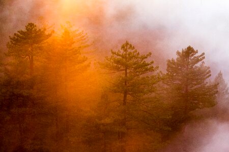 Nature foggy clouds