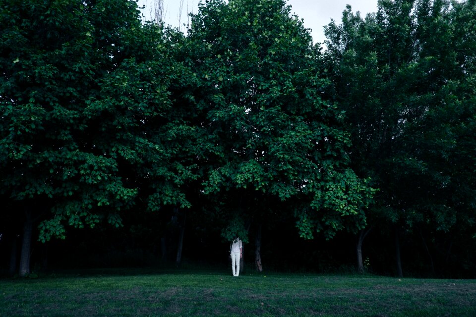 Nature hiding black park