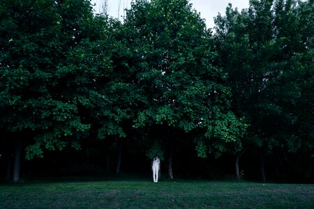 Nature hiding black park