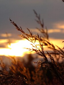 Poland sunset landscape