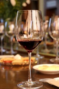 Wine wine glasses drink red wine photo