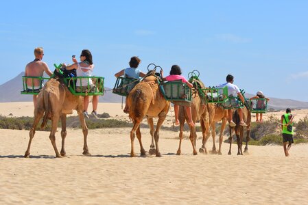 People camel ride excursion photo