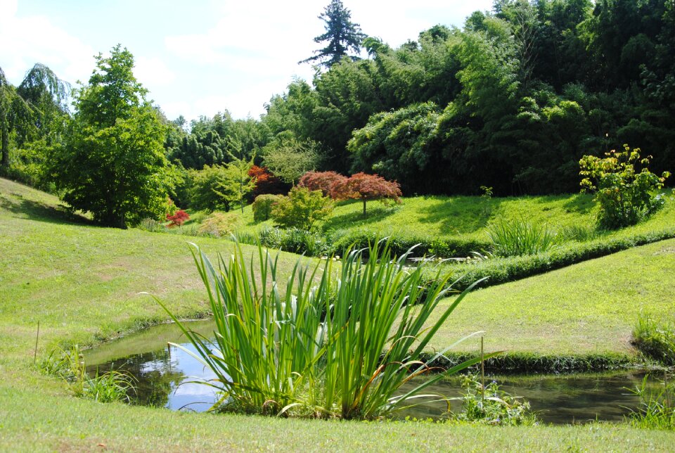 Nature landscape zen