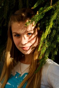 Portrait spruce view