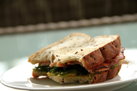 Bread healthy brown sandwich