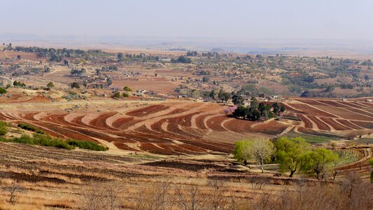 Landscape spring agriculture