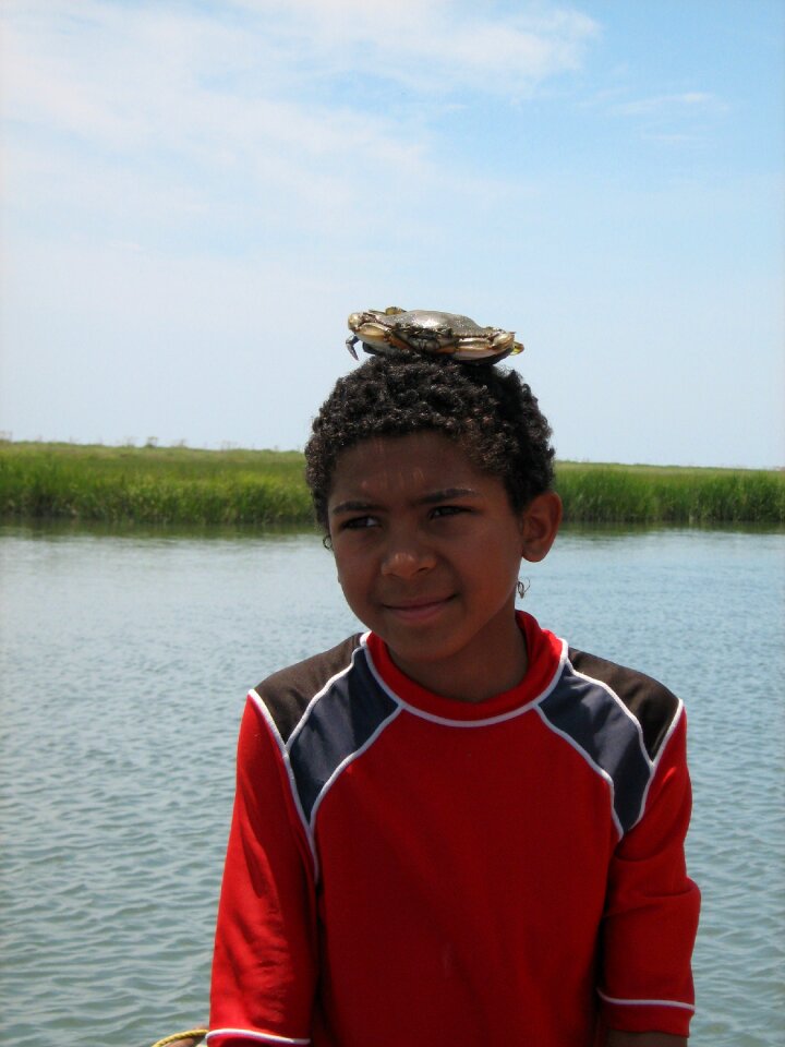 Ocean vacation marsh