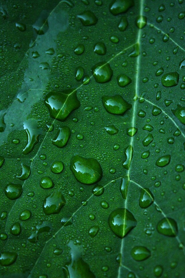 Green drop of water costs