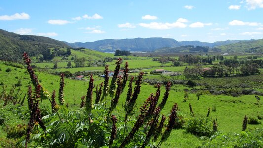 Hills pastoral rural