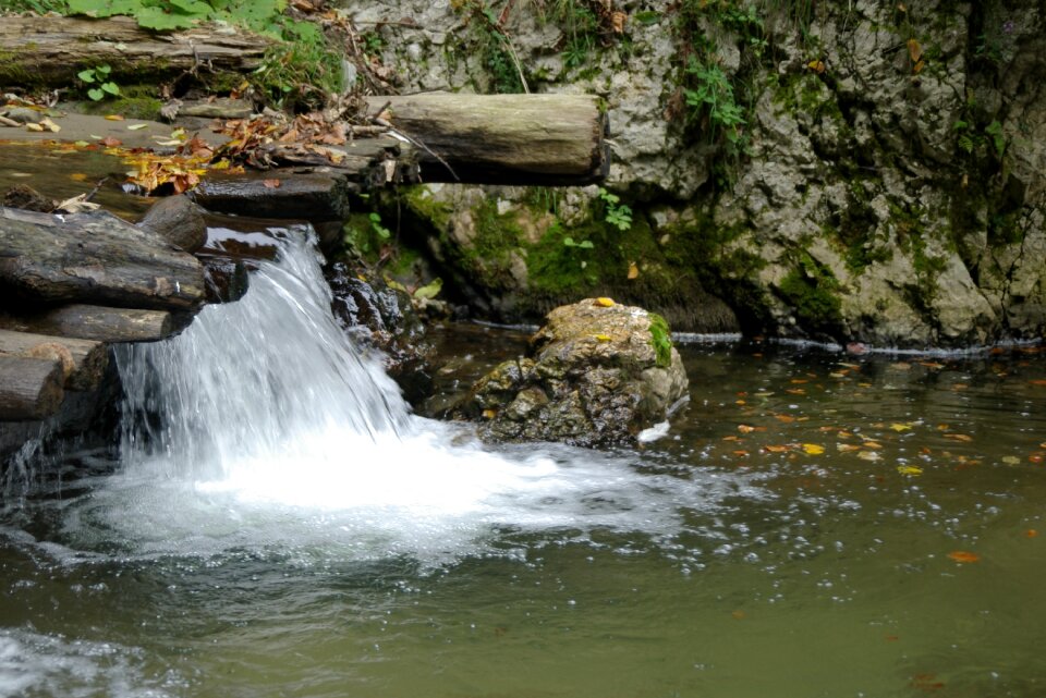 Nature peace and quiet wild