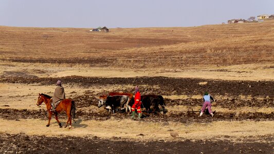 Agriculture plow tillage
