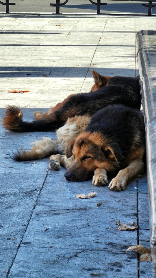 Rest doze relax