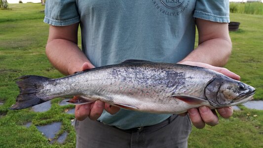New england fishing big fish