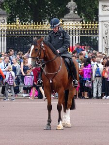 London buckingham palace photo