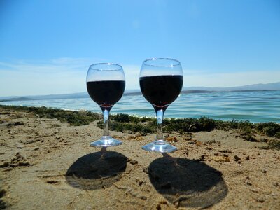 Dear beach sand sun and sea