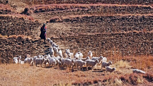 Agriculture fields management