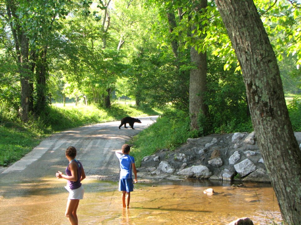 National park holidays vacation