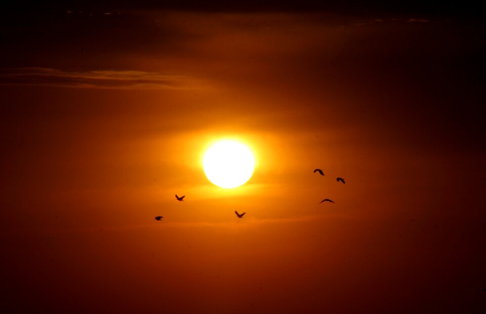 Red fire sky