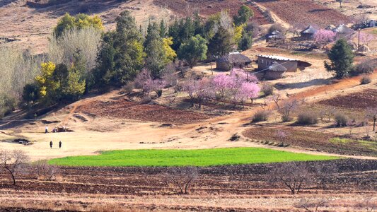 Settlement landscape spring