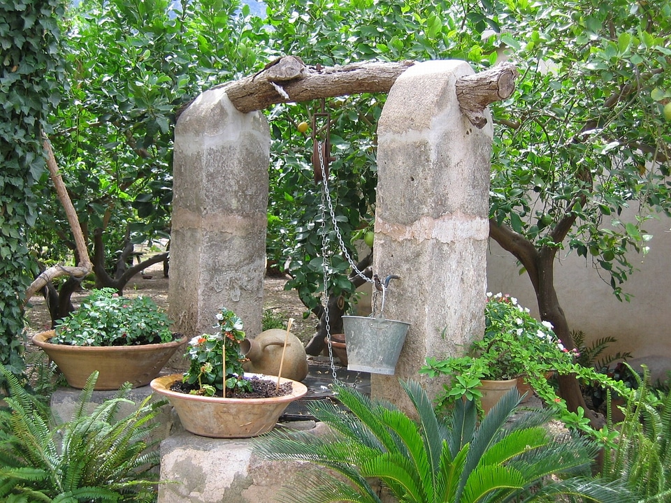 Fountain garden nature