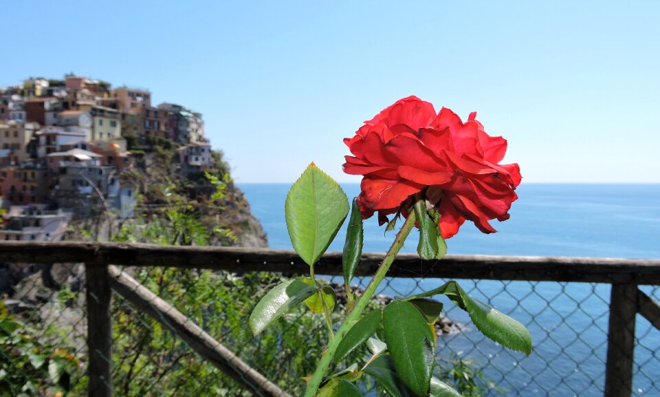 Manarola houses sea