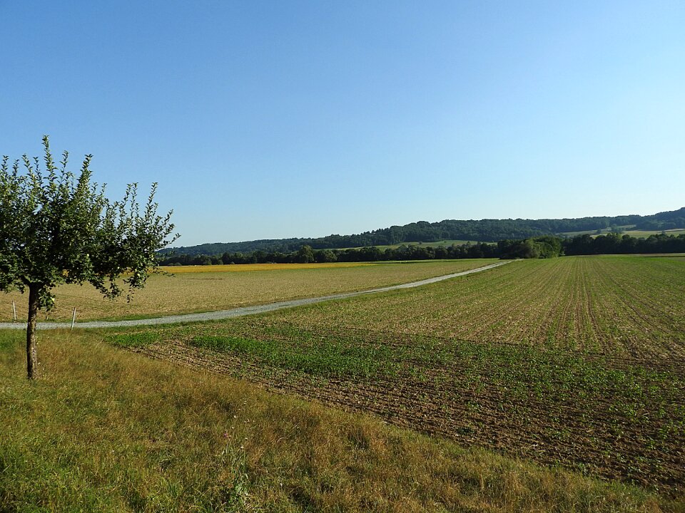 Fields arable nature
