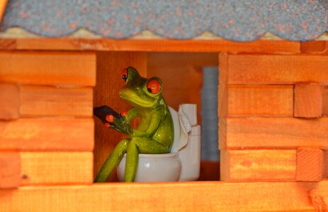 Toilet loo wc
