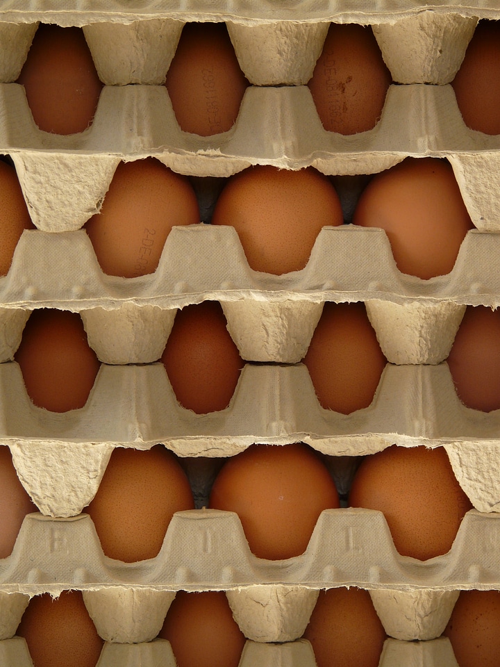 Egg egg box food