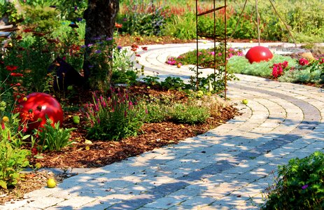 Devoured patch garden