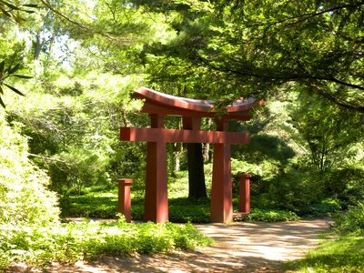 Garden asian