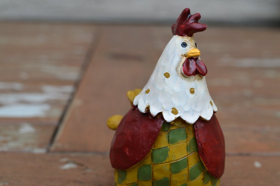 Poultry bird farm