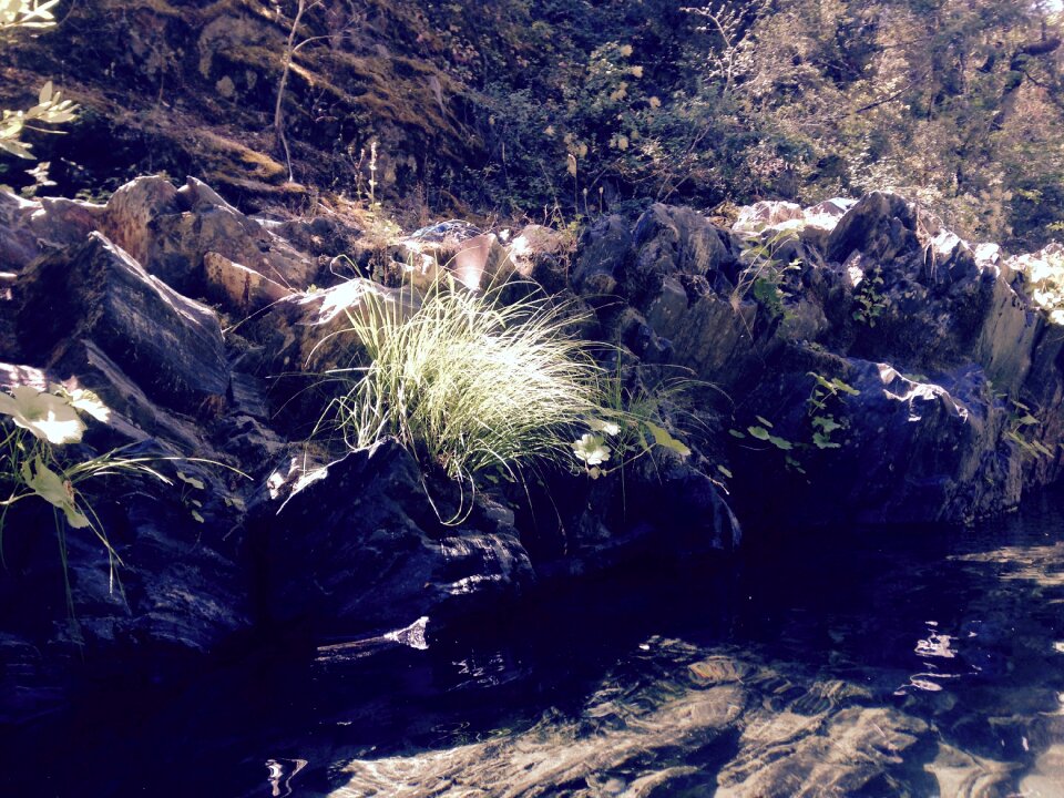 Stream outdoors swimming hole