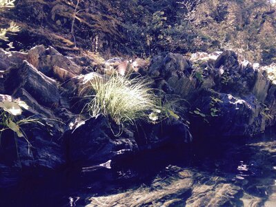 Stream outdoors swimming hole