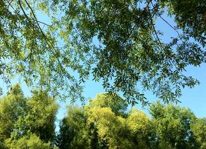 Nature light landscape
