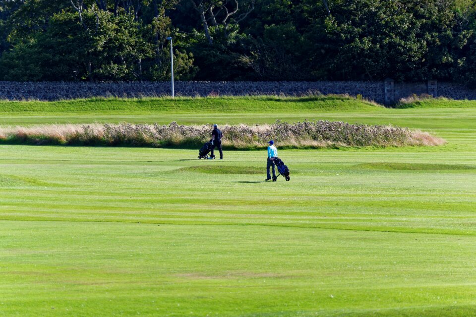Green course grass