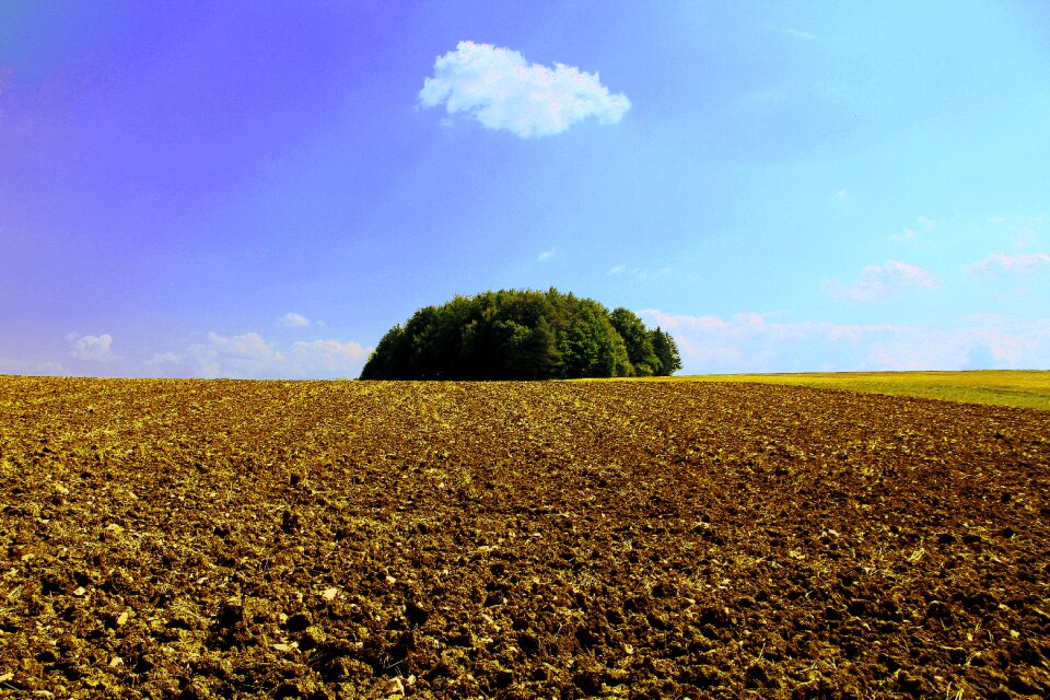 Nature landscape harvest
