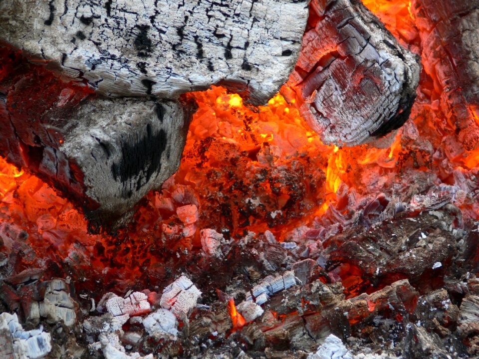 Wood beech wood potato fire