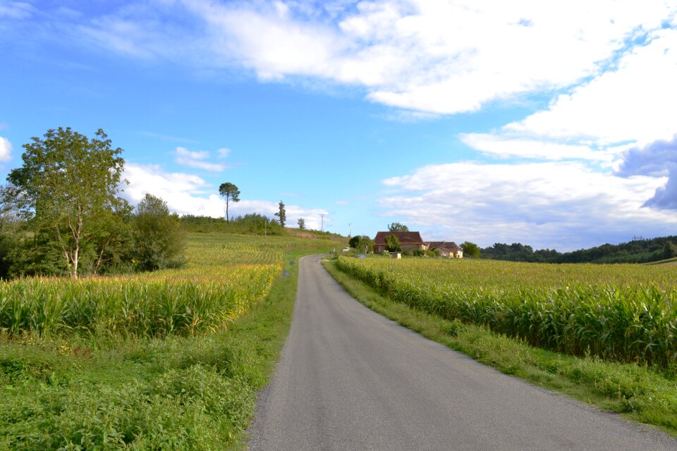 Fields agriculture nature
