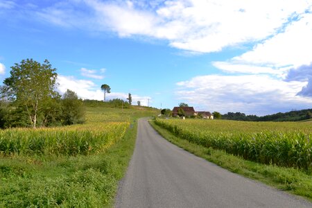 Fields agriculture nature