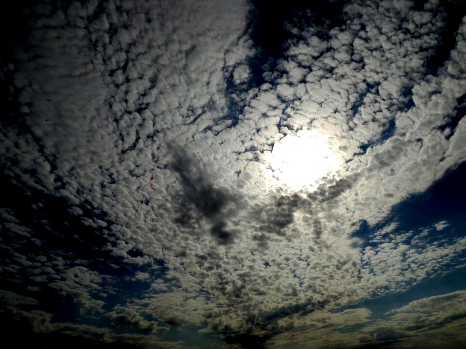 White blue in the evening