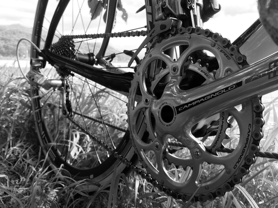 Bike sports circuit