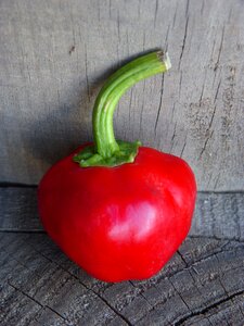Vegetable red pepper food