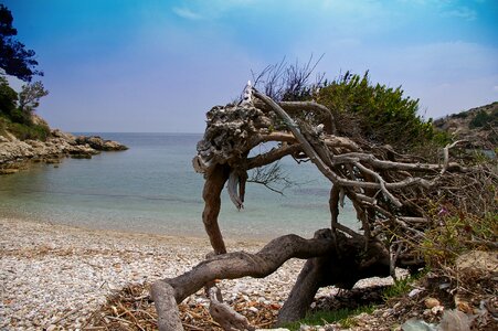 Sea beach water