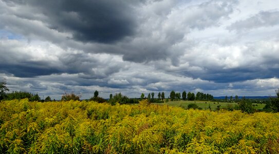 Landscape sky clouds